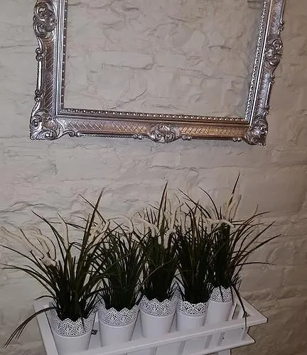 Affittacamere Durban